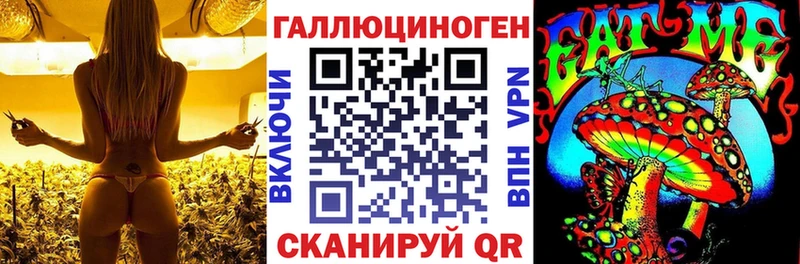 Псилоцибиновые грибы Psilocybine cubensis Уржум